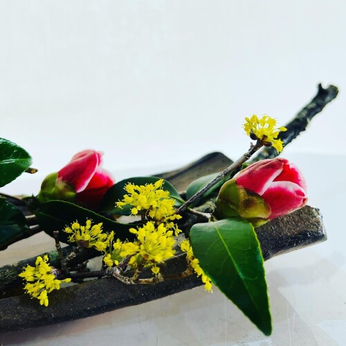 00D7900B-5385-44C6-B331-310CAEA6B90E