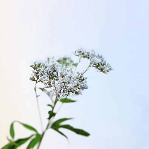 0380FDA4-B631-4F34-BC96-747842BE541C