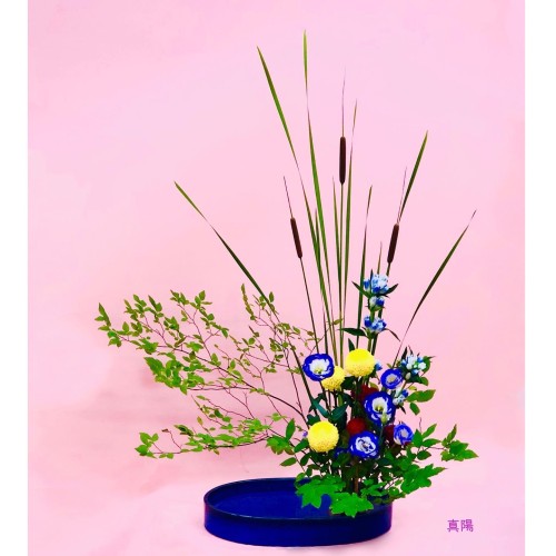 09868093-B691-4B3E-B7C6-1B8843EF5805