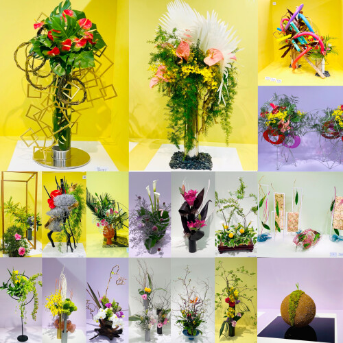 09DFE3FA-008A-4B6D-ABBB-AB66237D2DA3