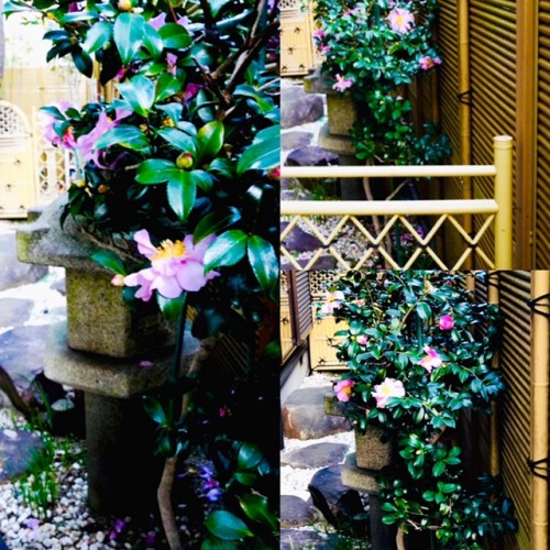 0ADC5438-1554-4977-A7BE-21988C5A2B48