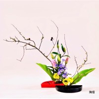 13744B24-7B11-4290-8E36-6A9F33A68EA4