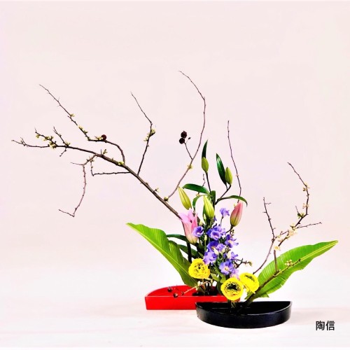 13744B24-7B11-4290-8E36-6A9F33A68EA4