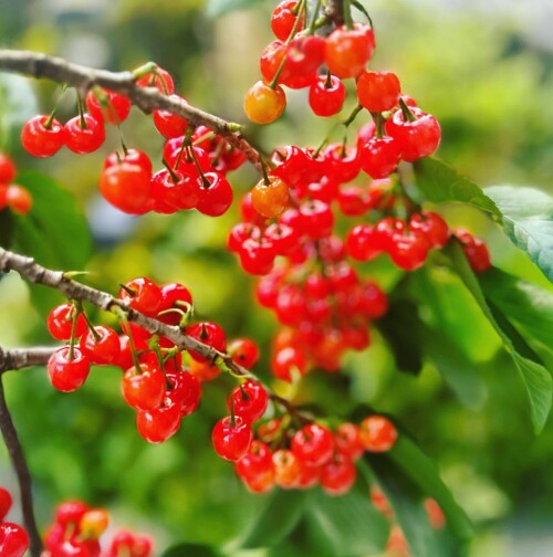 1BB0356D-7AA7-4DC4-BD4A-A4F2D29C7B81