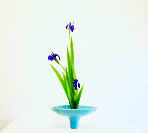 26C2DC11-71A6-4D27-9D37-B99CD39997B7