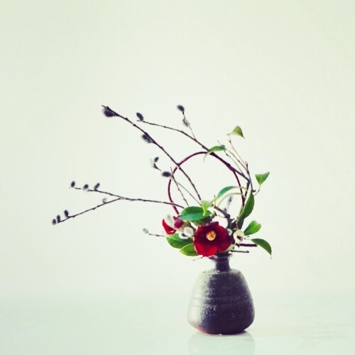 29BDDB24-FC69-4463-A3F8-53BD639A3444