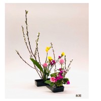 2ADA03C7-6F7D-4FF2-A250-5CC50CA9601A