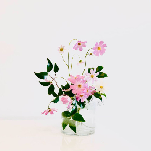 2BF2BC36-5392-4A27-9DC0-674E5651EE15