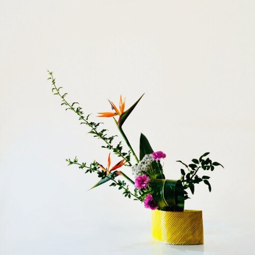 2F10789D-F42E-4027-89D8-6AA842D86362