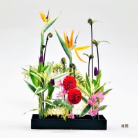 3110270E-36B4-4B8A-AC2C-330930F35F4E