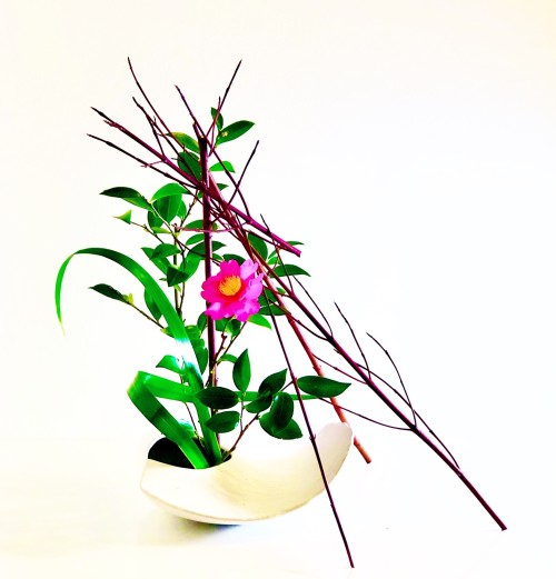 34994748-B8CB-4074-A182-79774400ED32