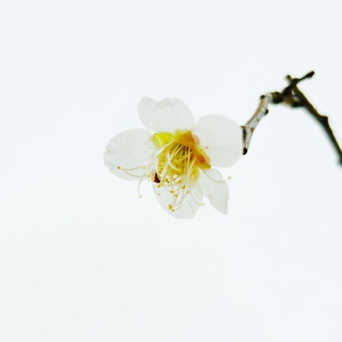 34C0CC18-832A-4B9A-AF5F-D8C79FE54E2F