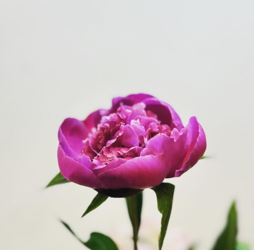 3C7CF9F9-4C92-4D4E-9051-E54DE43D1B63