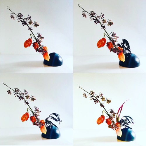 411E7902-9A27-4AB9-9C03-6B93F9AD139B