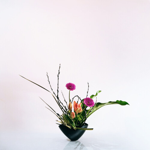 42ED8ADE-FE29-4247-B294-FFBB0F24931B