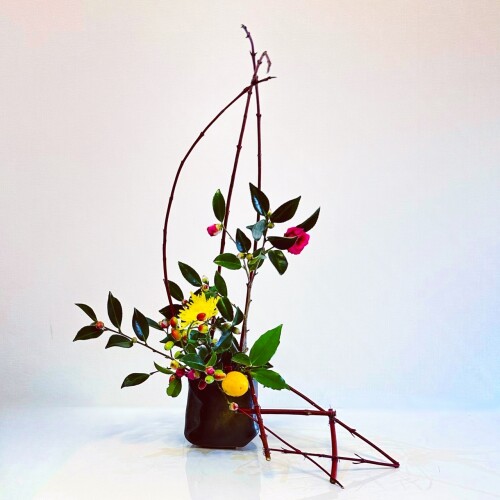 431E556C-F866-41B4-90D1-7A5814C2C4D0