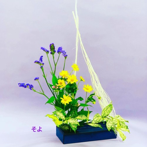 49611B06-CA37-471D-B0CD-0E521AE07096