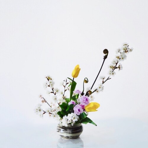 4D4C34E8-B63E-4B40-A06E-CD98FDFBF449