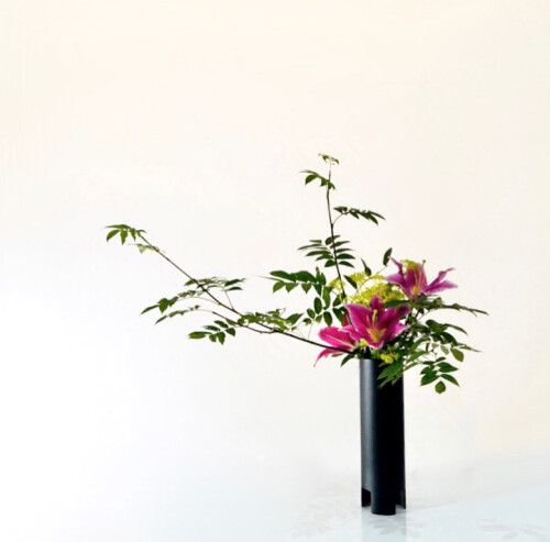 4DE8E7C3-508A-4BBC-8192-9FD90F8586A8