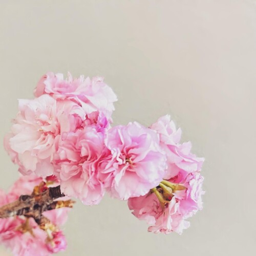 4E5E8068-AB96-4931-B8EB-A1EA0EB22ACF