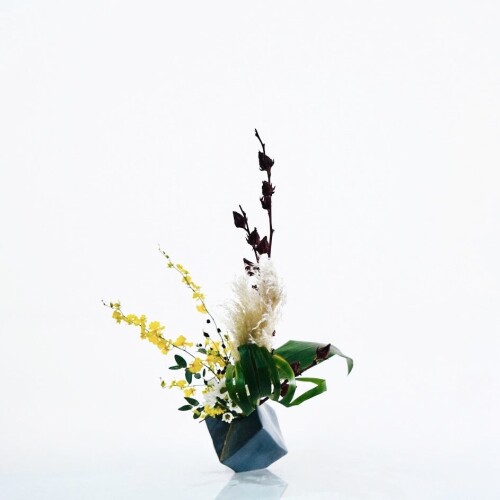 529579D7-D8B3-4AB0-ACED-EF9777C0A80B