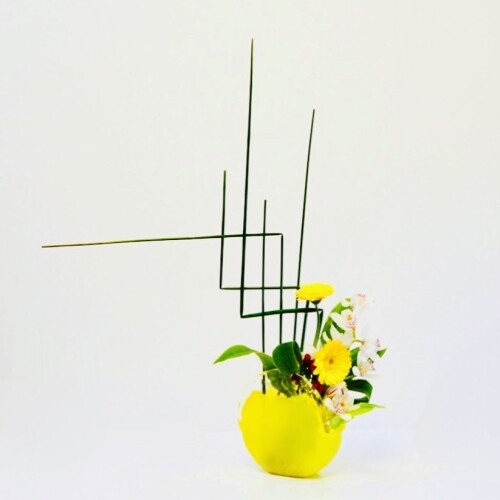 53119A84-7D68-4CAA-A706-F13A1B333160