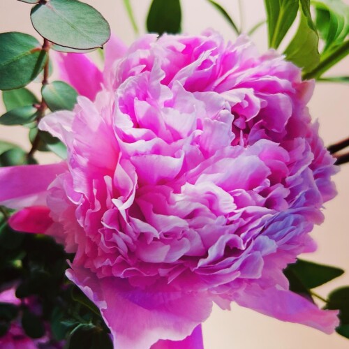 57F25908-DF26-417F-909F-832AD00E5D4B