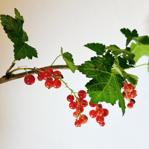 5A1F7904-7FCB-4F33-BF1B-F86BF0C687B1