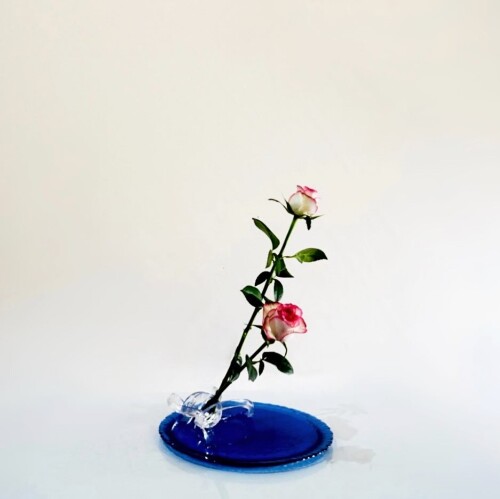 5E8377FF-3640-4034-ABF2-4BC65F58F204