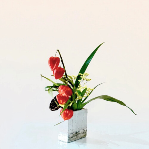 676BD47A-2CF4-4965-AACD-CA5591837829