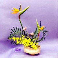 6811439B-80A1-42A1-A3B0-3A2E38ADB3A3