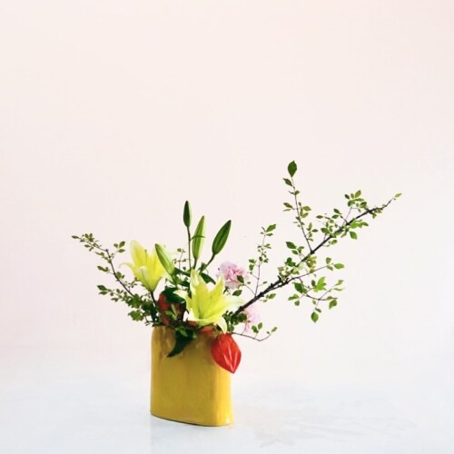 69F74427-6537-4F35-9FF2-3077821678A1