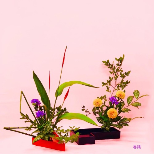 6C4FA95A-4A17-4BDE-AD68-E5B569A242DB