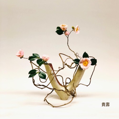 6F4F22D8-69DC-4132-ABC2-5C0A2D099ABF