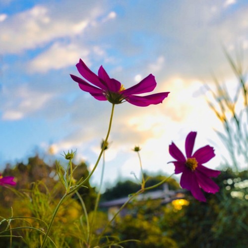 6FD22CA2-0BA6-4BA0-9108-DC9D29151D64