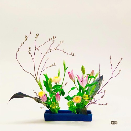 7994C067-E530-4486-9927-2FB9BFDBCD0F