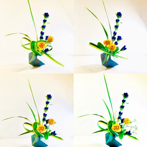 79B925BE-2372-4465-8E38-9D44E41F3E81