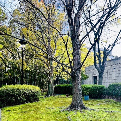 7EDE9FB0-7D7C-4B0D-8AA0-2E4CF8245E2B