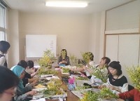 DSC_0227 - コピー