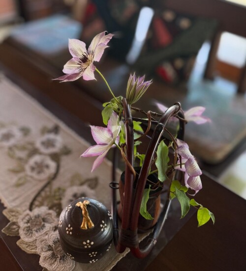 812A5732-04D6-4F3F-A0C4-5863C5F83425