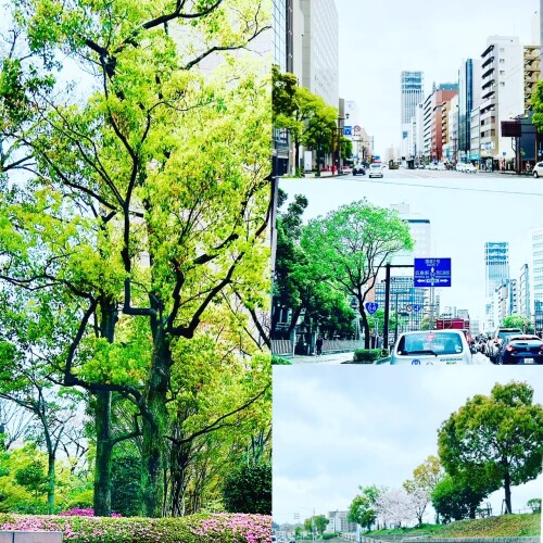 84E85D08-7233-44F1-97A4-AE9DA0A9CF70