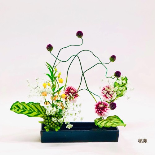 86B32355-4122-4ABA-ADF1-2C40F7285B3D