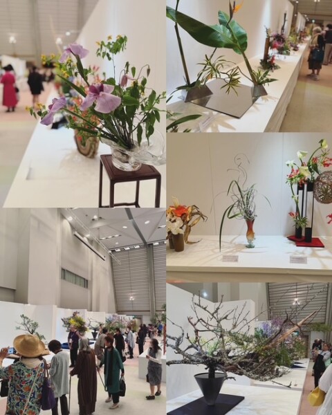 86E3CD0E-CE28-4E09-8AB2-63D2F134131B