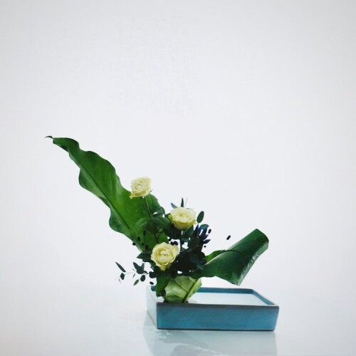 880E7089-9A76-41DD-BC98-E36478BF4815