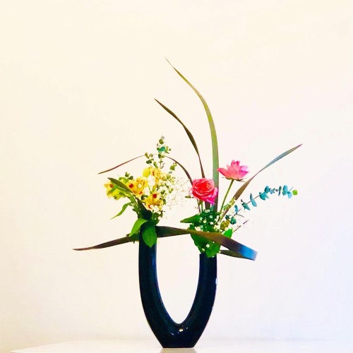 8B4732F8-5C7F-4986-AF00-7EFD7FF2B8FA