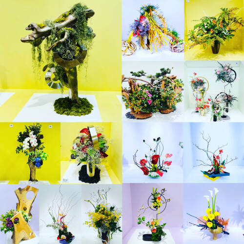 8CB39BB9-1DB3-4255-93D6-63D9977C6EEE