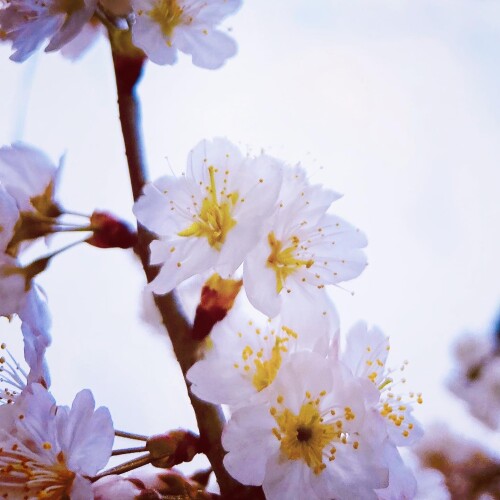 90AC64C0-DB98-4963-A1E6-10E8CD045968