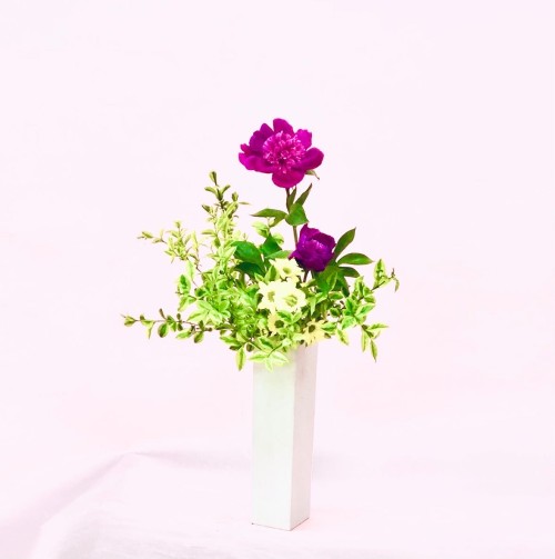 93E0D97E-6CC6-446D-AFD3-08C7A30DFC62