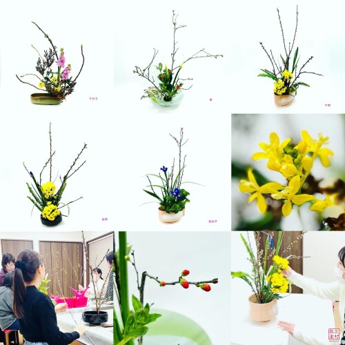 957E1624-B748-46D8-8D6C-3753C18C3264