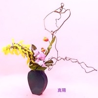 ADC7D7C3-49E2-4A02-A052-E89A872E5263